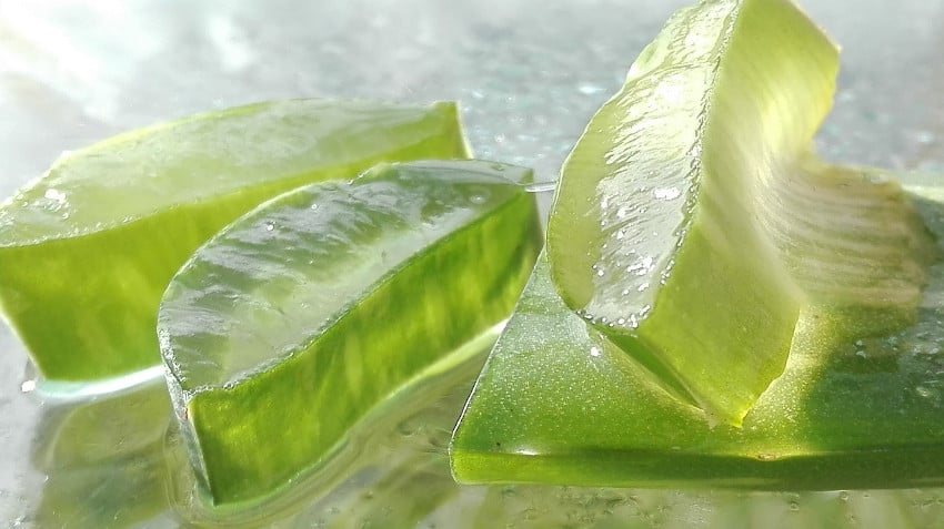 Como consumir aloe vera
