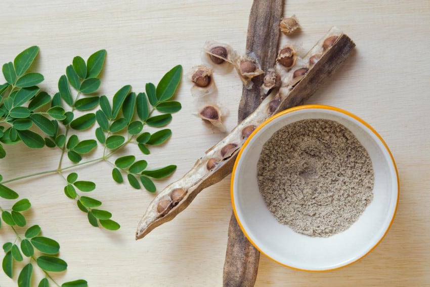 Consumir moringa