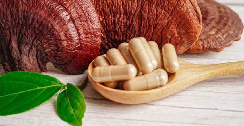 Consumir reishi
